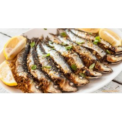 Le sardine méditerrannéene