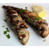 Le sardine méditerrannéene
